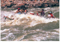 Rapids4x6pcim21202.png
