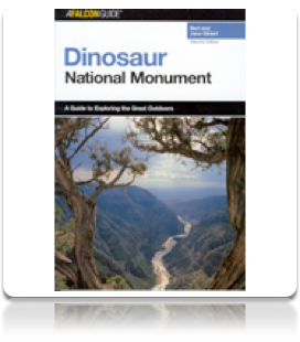 Falcon: Dinosaur National Monument