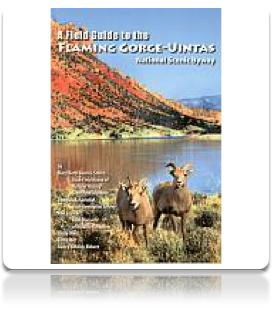 Flaming Gorge-Uintas Scenic Byway 