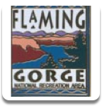 Flaming Gorge NRA Pin