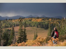 ashley_nat_forest
